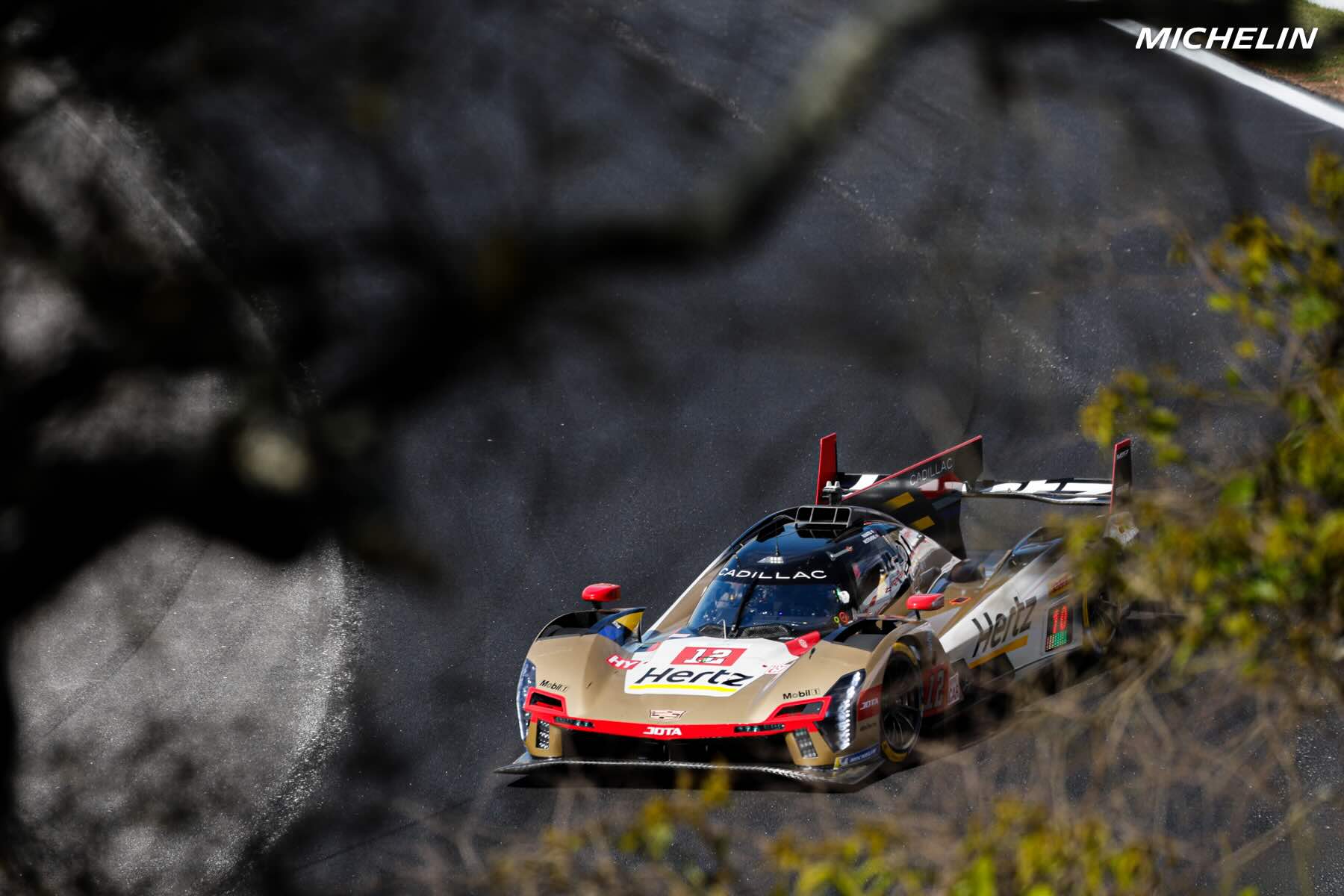 6H de São Paulo, qualifs Hypercar : Cadillac verrouille la première ligne à Interlagos 6H de São Paulo, qualifs Hypercar : Cadillac verrouille la première ligne à Interlagos